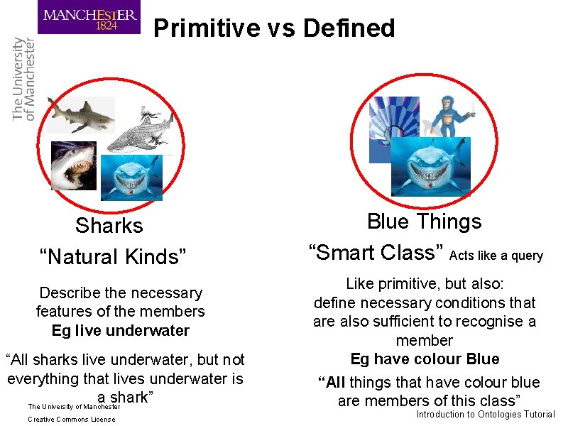 Primitive vs Defined Sharks “Natural Kinds” Describe the necessary features of the members Eg