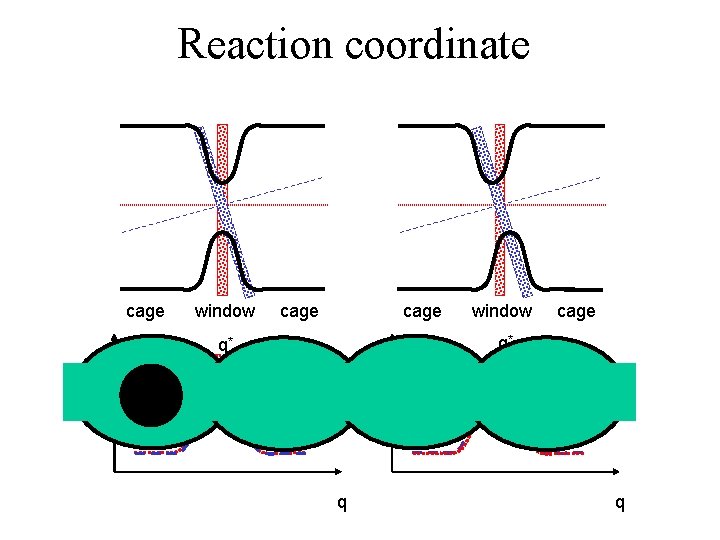 Reaction coordinate cage window cage q* βF(q) q* q q 