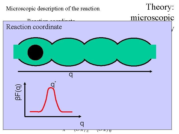 Theory: microscopic linear response theory Microscopic description of the reaction Reaction coordinate Reactant A: