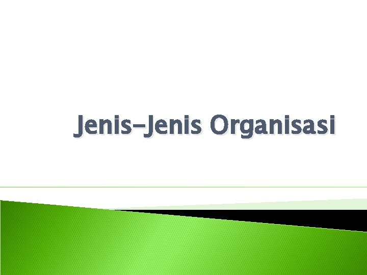 Jenis-Jenis Organisasi 