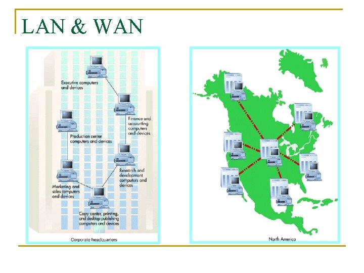 LAN & WAN A Typical LAN in a BUS Topology A Wide Area Network