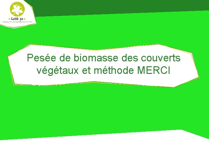 Pesée de biomasse des couverts végétaux et méthode MERCI 