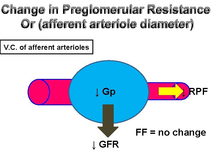 Change in Preglomerular Resistance Or (afferent arteriole diameter) V. C. of afferent arterioles ↓