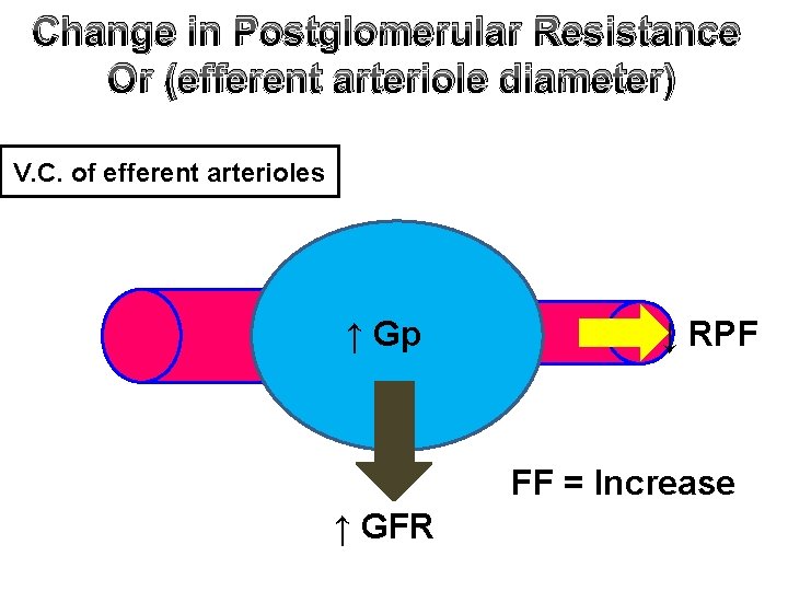 Change in Postglomerular Resistance Or (efferent arteriole diameter) V. C. of efferent arterioles ↑
