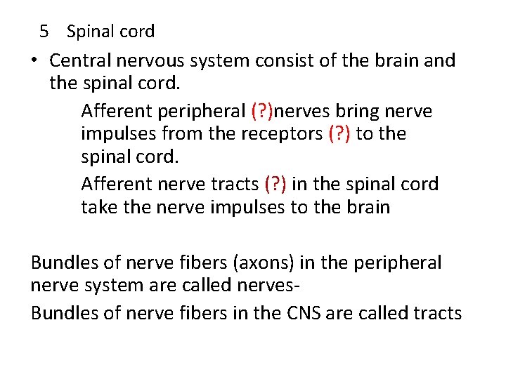 5 Spinal cord • Central nervous system consist of the brain and the spinal