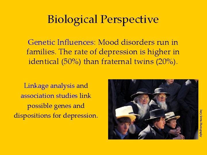 Biological Perspective Genetic Influences: Mood disorders run in families. The rate of depression is