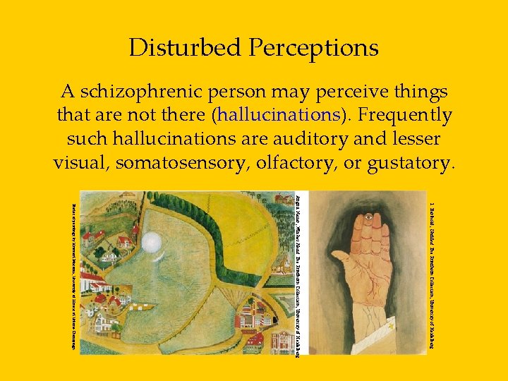 Disturbed Perceptions A schizophrenic person may perceive things that are not there (hallucinations). Frequently