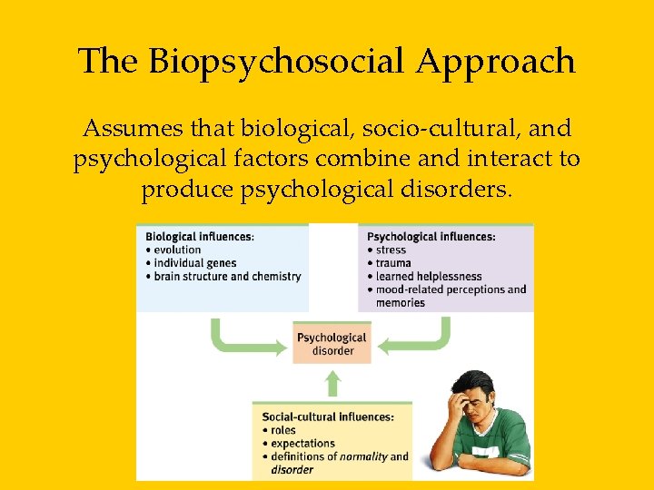 The Biopsychosocial Approach Assumes that biological, socio-cultural, and psychological factors combine and interact to