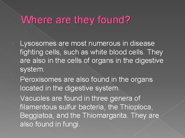 Where are they found? Lysosomes are most numerous in disease fighting cells, such as