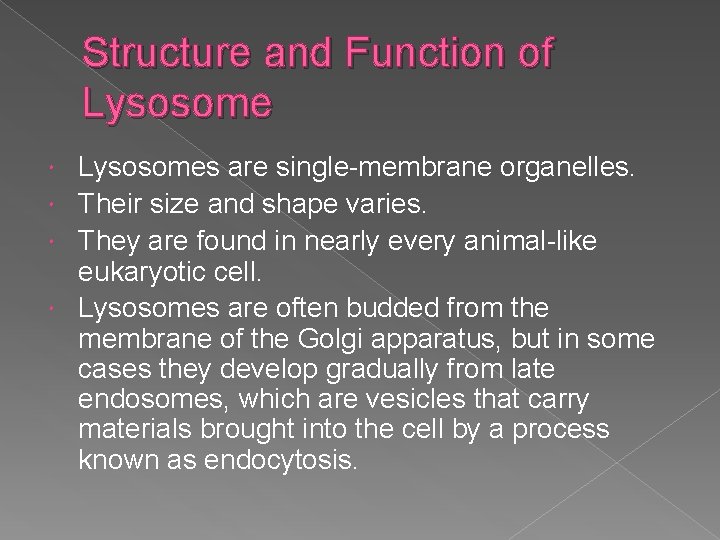 Structure and Function of Lysosomes are single-membrane organelles. Their size and shape varies. They