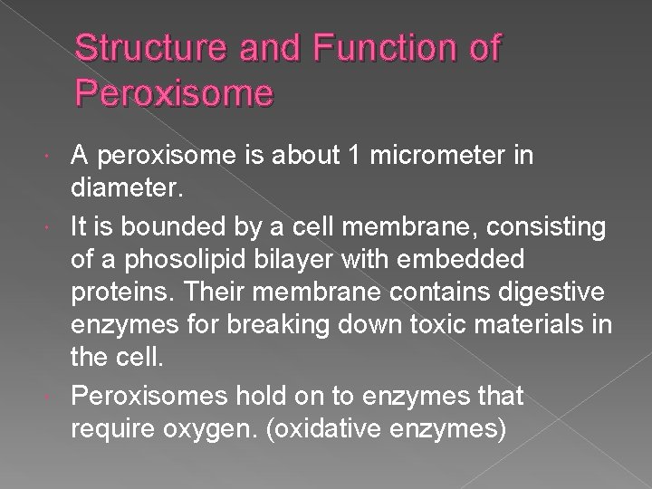 Structure and Function of Peroxisome A peroxisome is about 1 micrometer in diameter. It