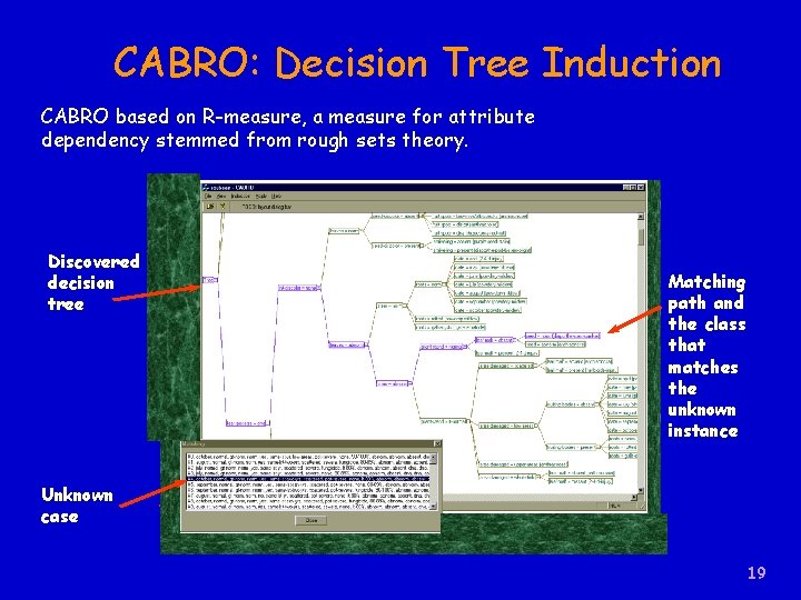 CABRO: Decision Tree Induction CABRO based on R-measure, a measure for attribute dependency stemmed