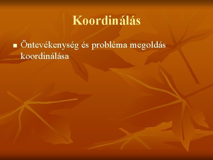 Koordinálás n Öntevékenység és probléma megoldás koordinálása 