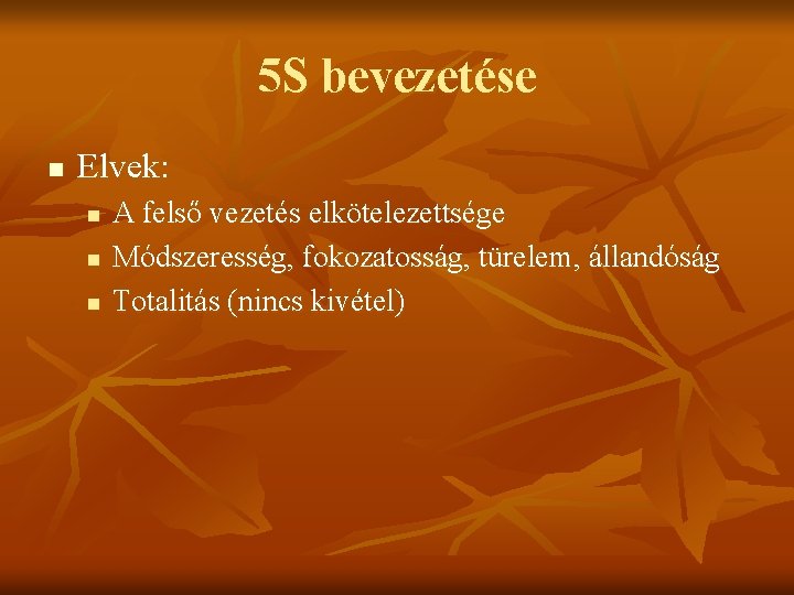 5 S bevezetése n Elvek: n n n A felső vezetés elkötelezettsége Módszeresség, fokozatosság,
