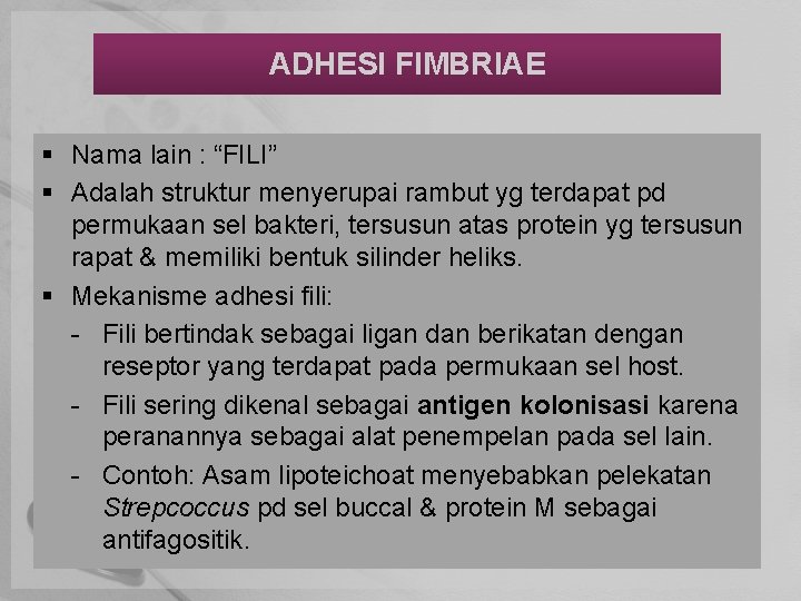 ADHESI FIMBRIAE § Nama lain : “FILI” § Adalah struktur menyerupai rambut yg terdapat