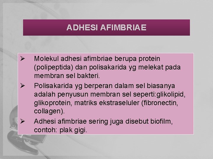 ADHESI AFIMBRIAE Ø Ø Ø Molekul adhesi afimbriae berupa protein (polipeptida) dan polisakarida yg