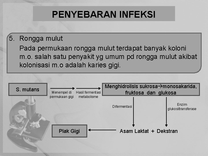 PENYEBARAN INFEKSI 5. Rongga mulut Pada permukaan rongga mulut terdapat banyak koloni m. o.