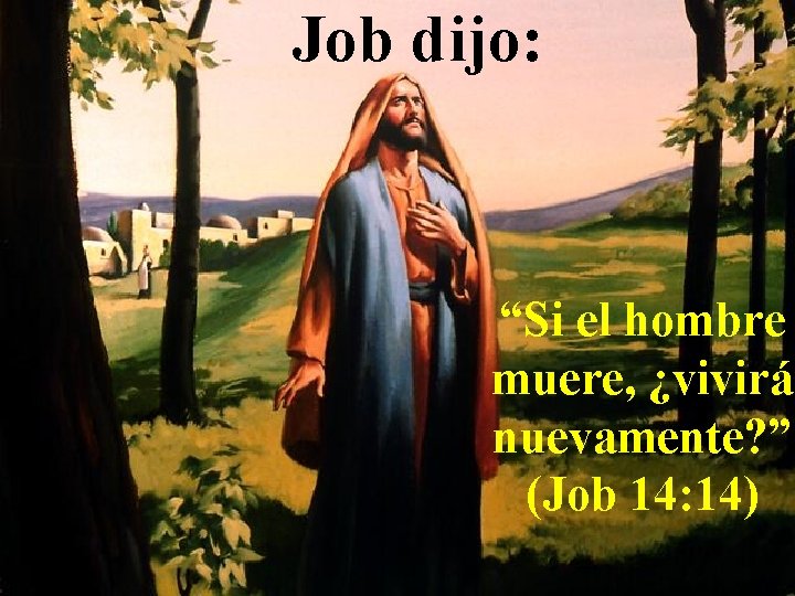 Job dijo: “Si el hombre muere, ¿vivirá nuevamente? ” (Job 14: 14) 