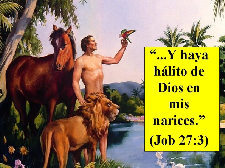 “. . . Y haya hálito de Dios en mis narices. ” (Job 27: