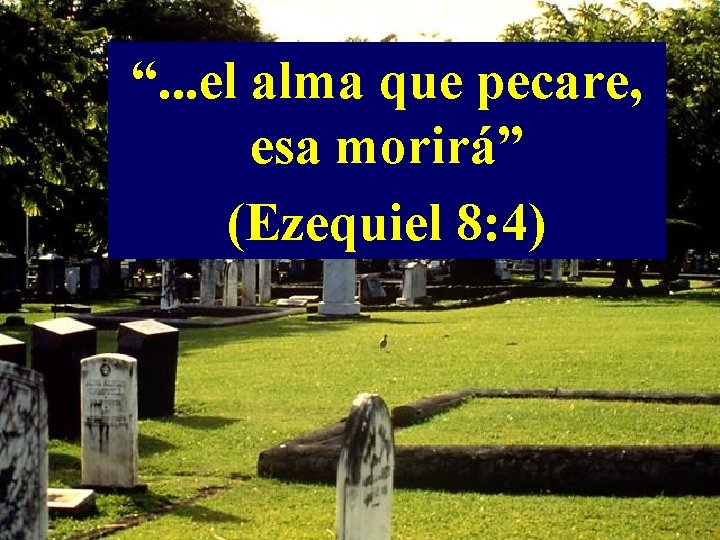 “. . . el alma que pecare, esa morirá” (Ezequiel 8: 4) 