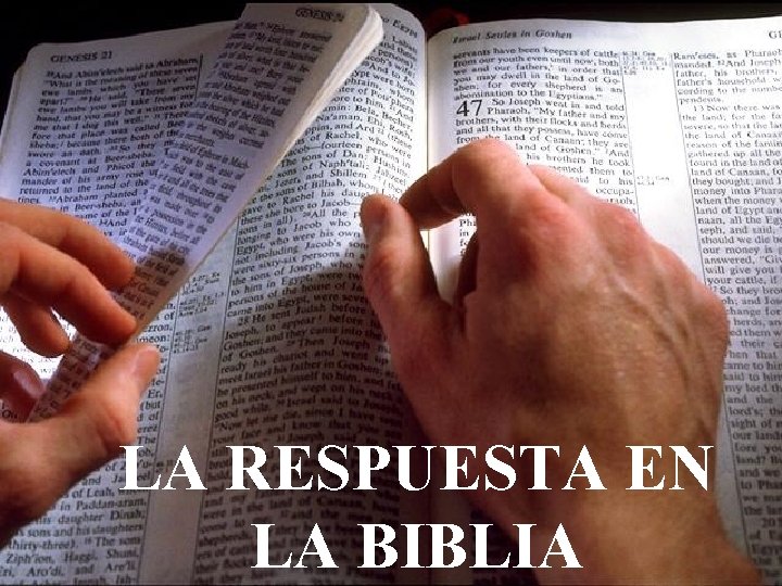 LA RESPUESTA EN LA BIBLIA 