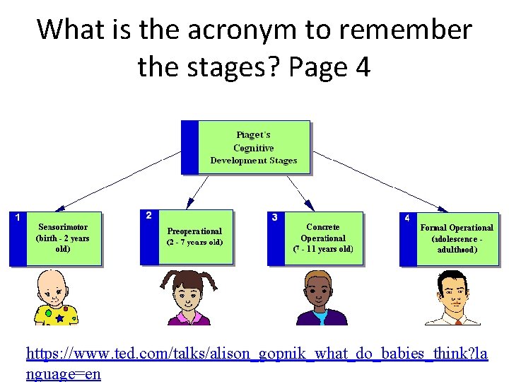 What is the acronym to remember the stages? Page 4 https: //www. ted. com/talks/alison_gopnik_what_do_babies_think?