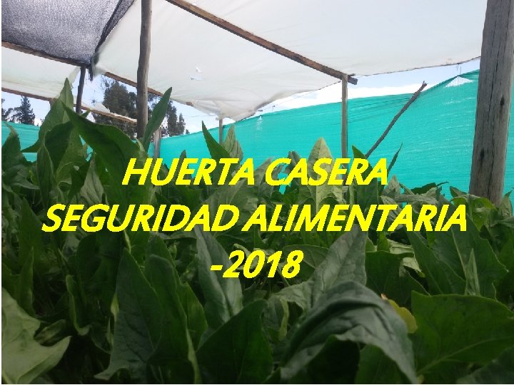 RENDICION DE CUENTAS SIMIJACA 2018 Con Respeto Construimos Confianza HUERTA CASERA SEGURIDAD ALIMENTARIA -2018