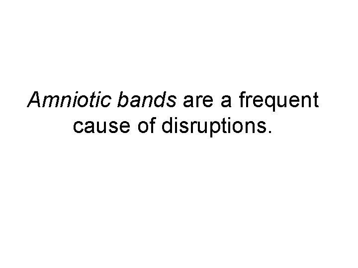 Amniotic bands are a frequent cause of disruptions. 
