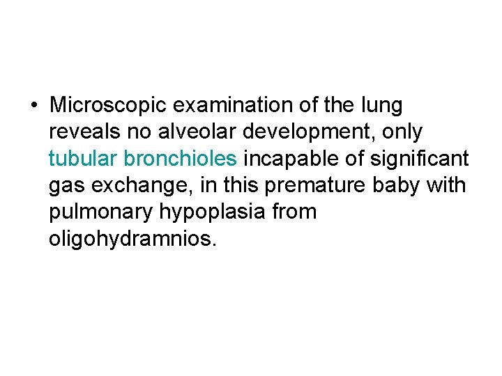  • Microscopic examination of the lung reveals no alveolar development, only tubular bronchioles
