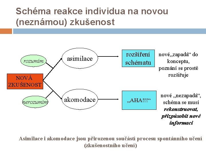 Schéma reakce individua na novou (neznámou) zkušenost rozumím asimilace rozšíření schématu NOVÁ ZKUŠENOST nerozumím