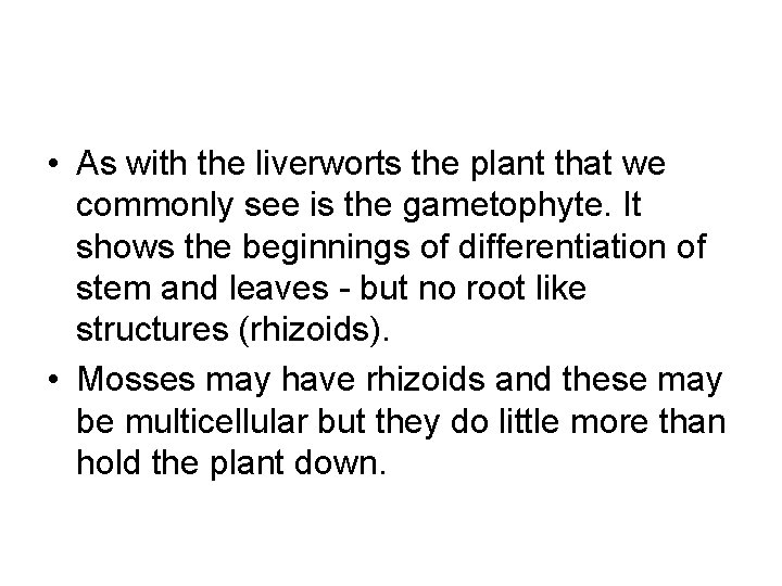  • As with the liverworts the plant that we commonly see is the