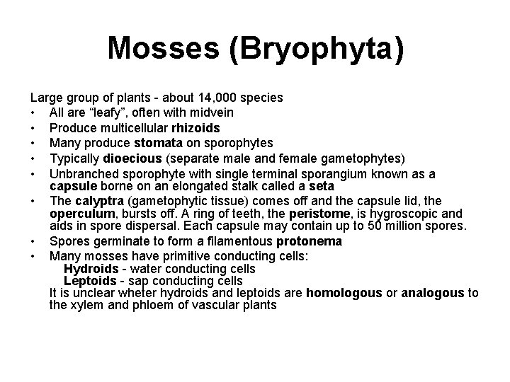 Mosses (Bryophyta) Large group of plants - about 14, 000 species • All are