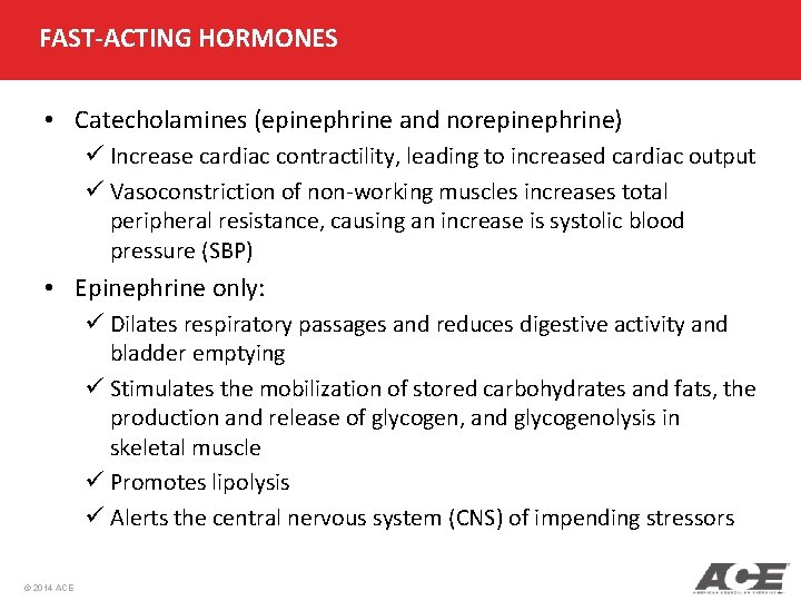 FAST-ACTING HORMONES • Catecholamines (epinephrine and norepinephrine) ü Increase cardiac contractility, leading to increased FAST-ACTING HORMONES • Catecholamines (epinephrine and norepinephrine) ü Increase cardiac contractility, leading to increased
