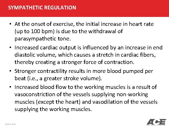 SYMPATHETIC REGULATION • At the onset of exercise, the initial increase in heart rate SYMPATHETIC REGULATION • At the onset of exercise, the initial increase in heart rate