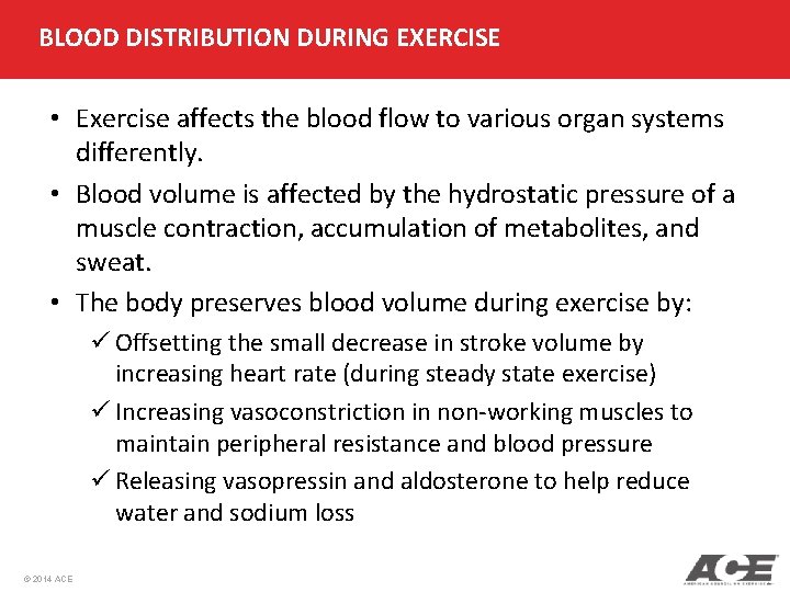 BLOOD DISTRIBUTION DURING EXERCISE • Exercise affects the blood flow to various organ systems BLOOD DISTRIBUTION DURING EXERCISE • Exercise affects the blood flow to various organ systems
