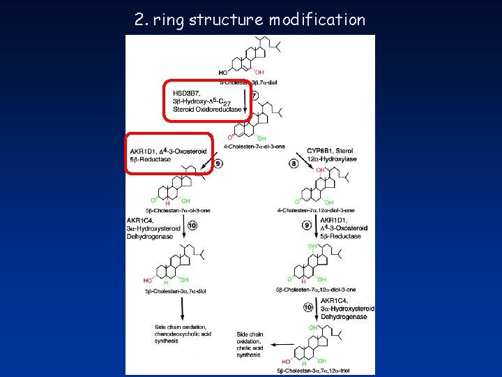 2. ring structure modification 