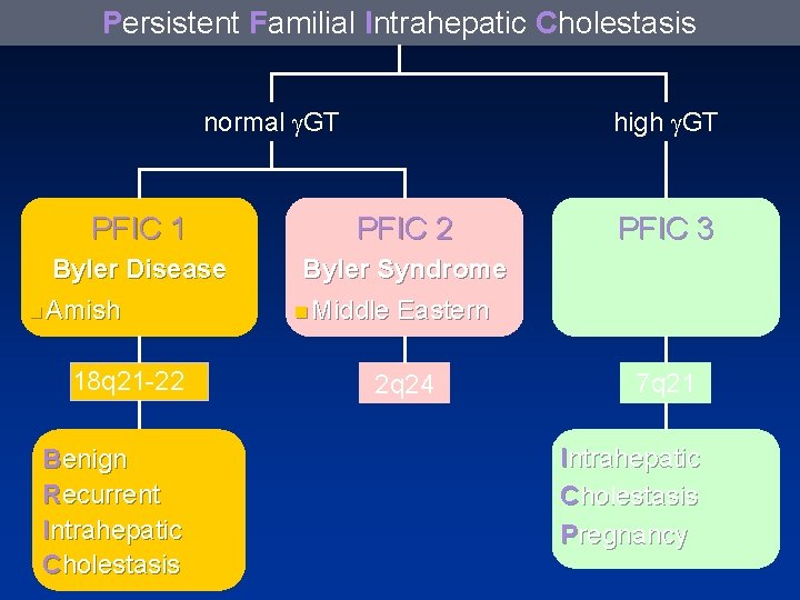 Persistent Familial Intrahepatic Cholestasis normal g. GT PFIC 1 high g. GT PFIC 2