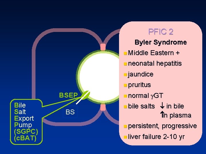PFIC 2 Byler Syndrome n Middle Eastern + n neonatal hepatitis n jaundice n