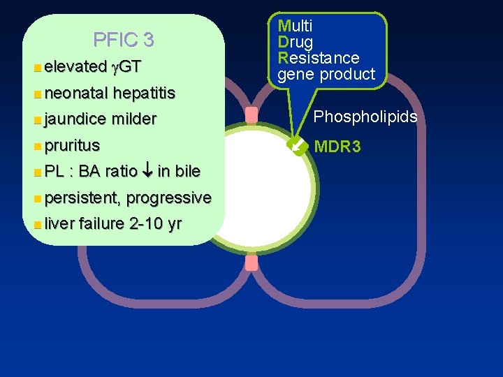 PFIC 3 n elevated g. GT n neonatal hepatitis n jaundice milder n pruritus