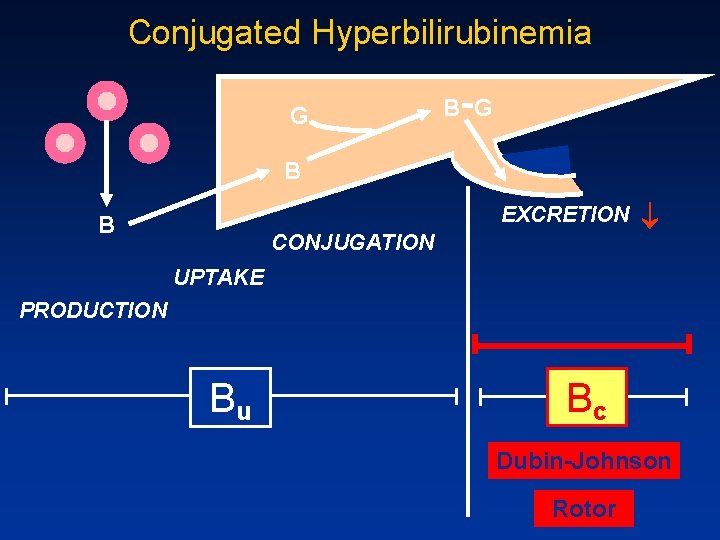 Conjugated Hyperbilirubinemia G - B G B EXCRETION B CONJUGATION ¯ UPTAKE PRODUCTION Bu