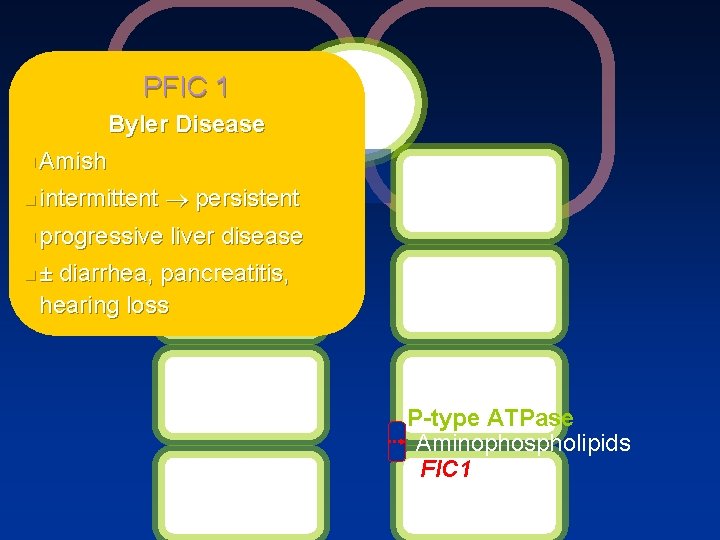 PFIC 1 Byler Disease n Amish n intermittent ® persistent n progressive liver disease