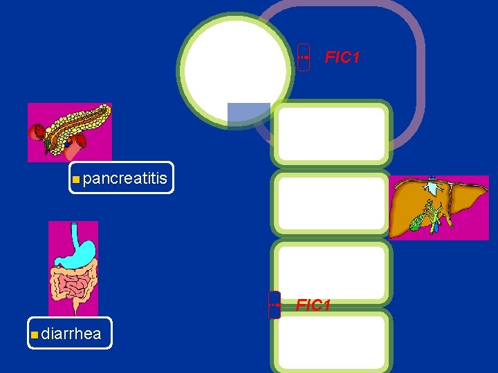 FIC 1 n pancreatitis FIC 1 n diarrhea 