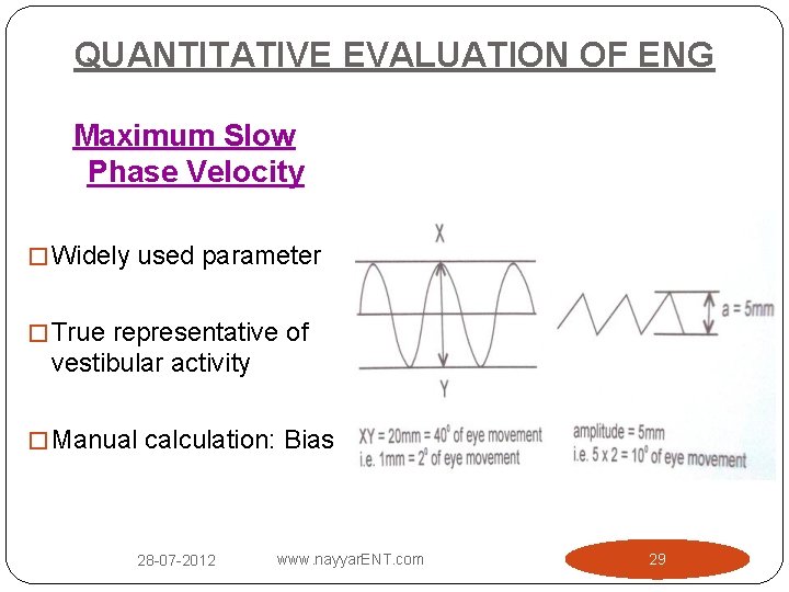 QUANTITATIVE EVALUATION OF ENG Maximum Slow Phase Velocity � Widely used parameter � True