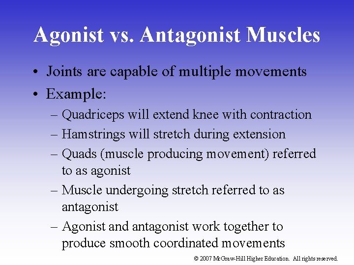 Agonist vs. Antagonist Muscles • Joints are capable of multiple movements • Example: –