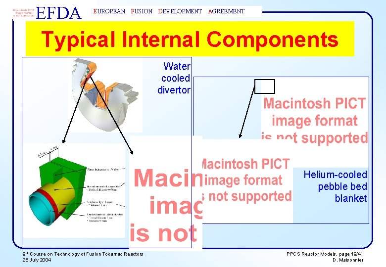 EFDA EUROPEAN FUSION DEVELOPMENT AGREEMENT Typical Internal Components Water cooled divertor Helium-cooled pebble bed