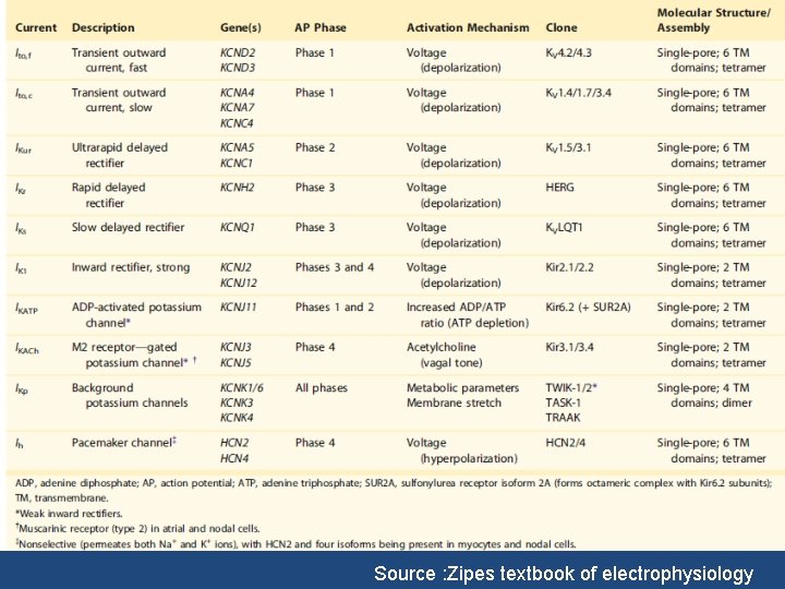 Source : Zipes textbook of electrophysiology 