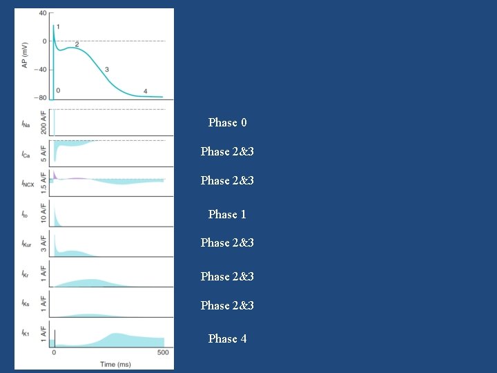 Phase 0 Phase 2&3 Phase 1 Phase 2&3 Phase 4 