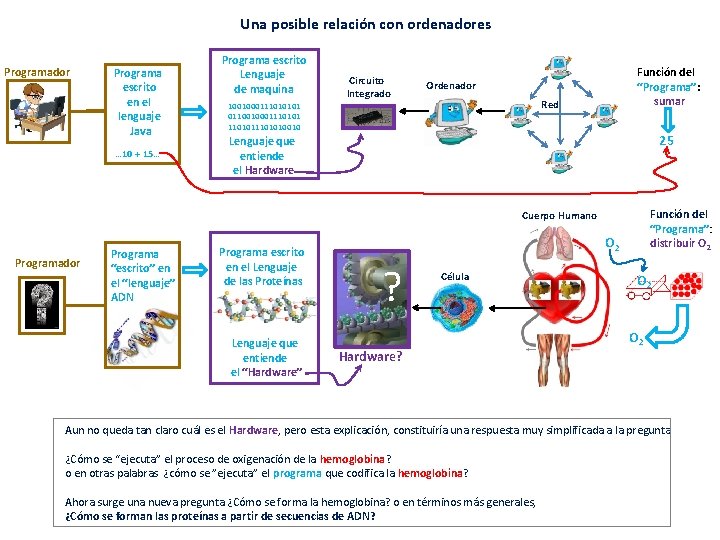 Una posible relación con ordenadores Programador Programa escrito en el lenguaje Java … 10