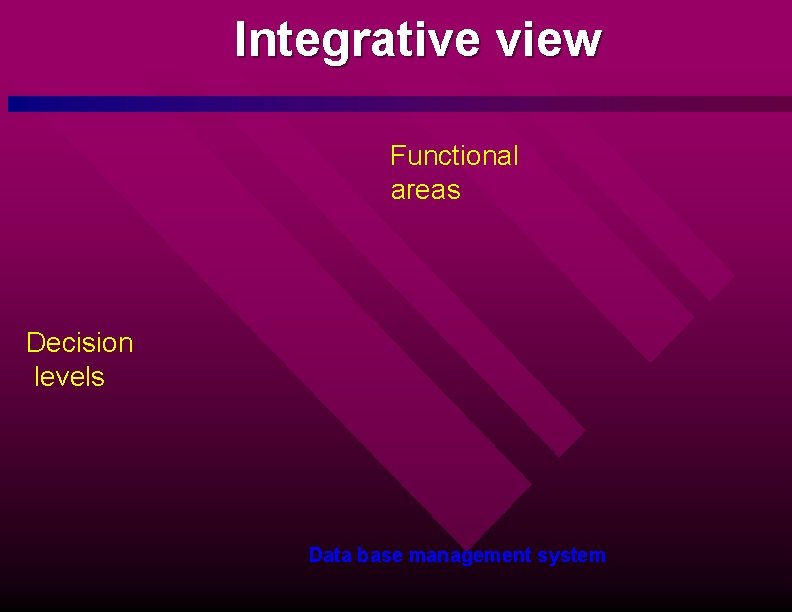 Integrative view Functional areas Decision levels Data base management system 