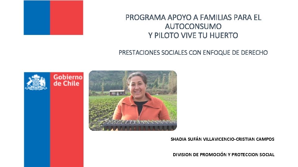 PROGRAMA APOYO A FAMILIAS PARA EL AUTOCONSUMO Y PILOTO VIVE TU HUERTO PRESTACIONES SOCIALES